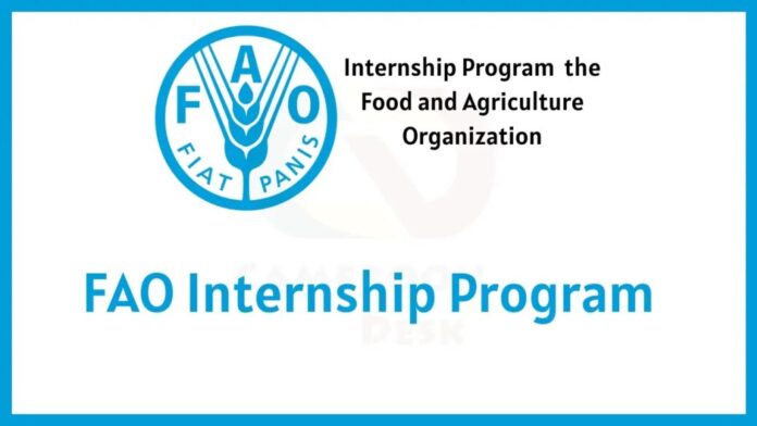 fao-internship-programme-1038x584