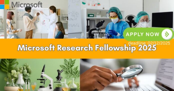Microsoft Research Fellowship