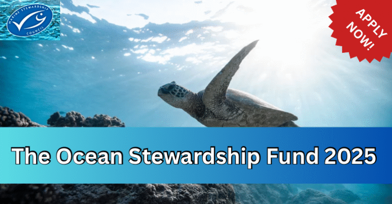 Le Fonds de gestion de l’océan 2025